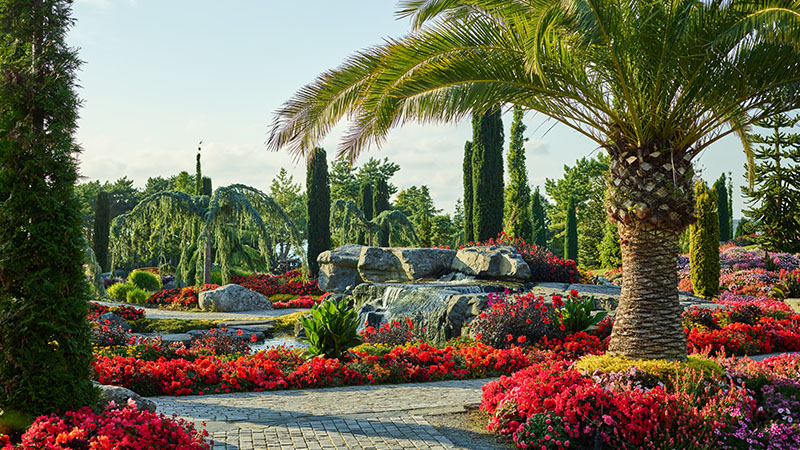 Flor & Fj�re med Stavanger